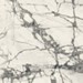 Calacatta grey lucido
